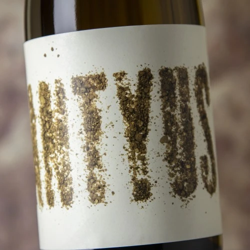 Arenas De Santyuste 2022 2 Arenas De Santyuste 2022 - Imagen 2