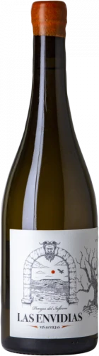 Barco Del Corneta Las Envidias 2020