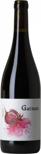 Barranco Oscuro Garnata 2015