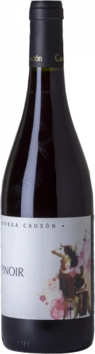 Cauzón Pinoir 2019