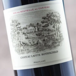 Château Lafite Rothschild 2019 Magnum 3 Château Lafite Rothschild 2019 Magnum -licorería Gourmet Hunters chateau lafite rothschild 500x500 6