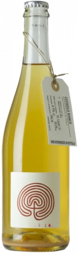 Costadilà Móz 2021 Magnum