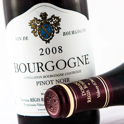Domaine Régis Rossignol-Changarnier Bourgogne Pinot Noir 2019 2 Domaine Régis Rossignol-Changarnier Bourgogne Pinot Noir 2019 - Imagen 2