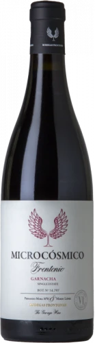 Frontonio Microcósmico 2021