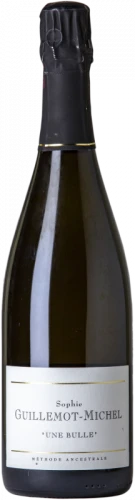 Guillemot-Michel Une Bulle 2021