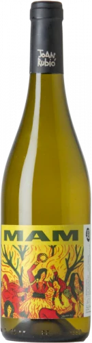 Joan Rubió MAM 2022