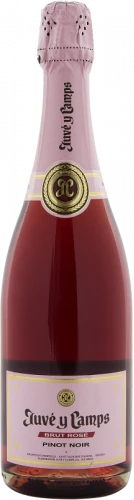 Juvé & Camps Brut Rosé