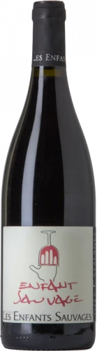 Les Enfants Sauvages Enfant Sauvage 2020