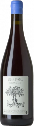 Lolita Papanapator 2022