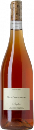 Los recién llegados 19 Mas Coutelou Amphore Métissée 2021