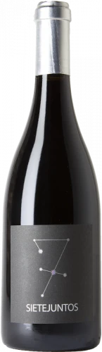 MicroBio Sietejuntos Syrah 2021