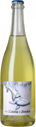 Microbio Va-llena X Jonás 2021