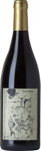 Morgane Turlier Pangea 2021