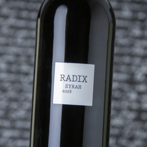 Parés Baltà Radix Rosé 2022 2 Parés Baltà Radix Rosé 2022 - Imagen 2