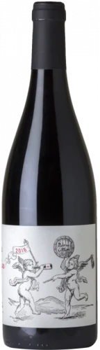 Pierre Cotton Beaujolais 2021
