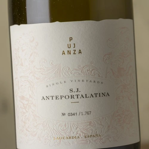 Pujanza San Juan Anteportalatina 2020 2 Pujanza San Juan Anteportalatina 2020 - Imagen 2