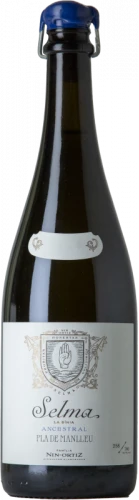 Selma Ancestral 2020