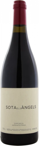 Sota Els Àngels 2007