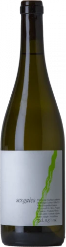 Ve D'Avior Ses Gaies 2022