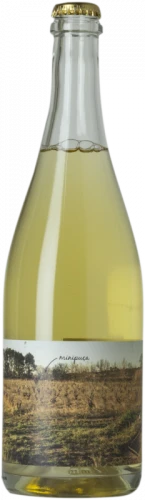 Vinyes Singulars Minipuça 2018