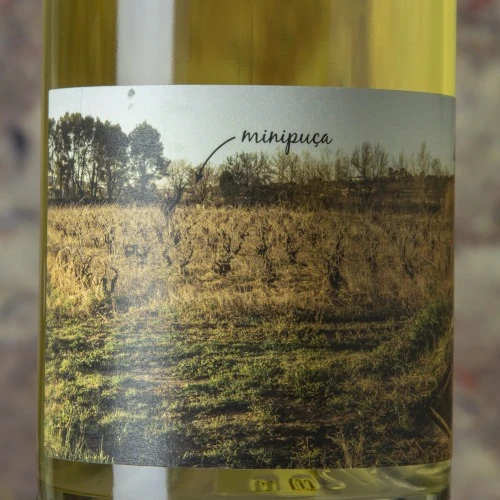 Vinyes Singulars Minipuça 2018 2 Vinyes Singulars Minipuça 2018 - Imagen 2