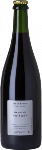 We Can Do What I Can't 2018